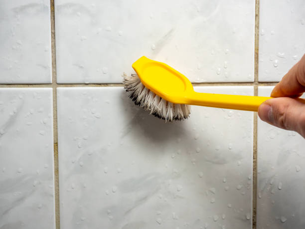 Best Preventive Mold Services in Starke, FL